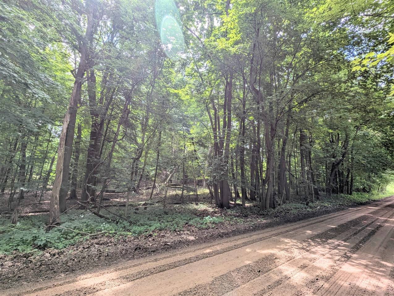 VL 14th Avenue, Grand Junction, MI 49056