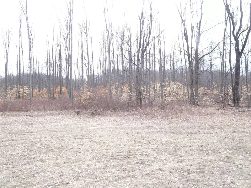 Chief ''C'' Road, Bear Lake, MI 49614-9378