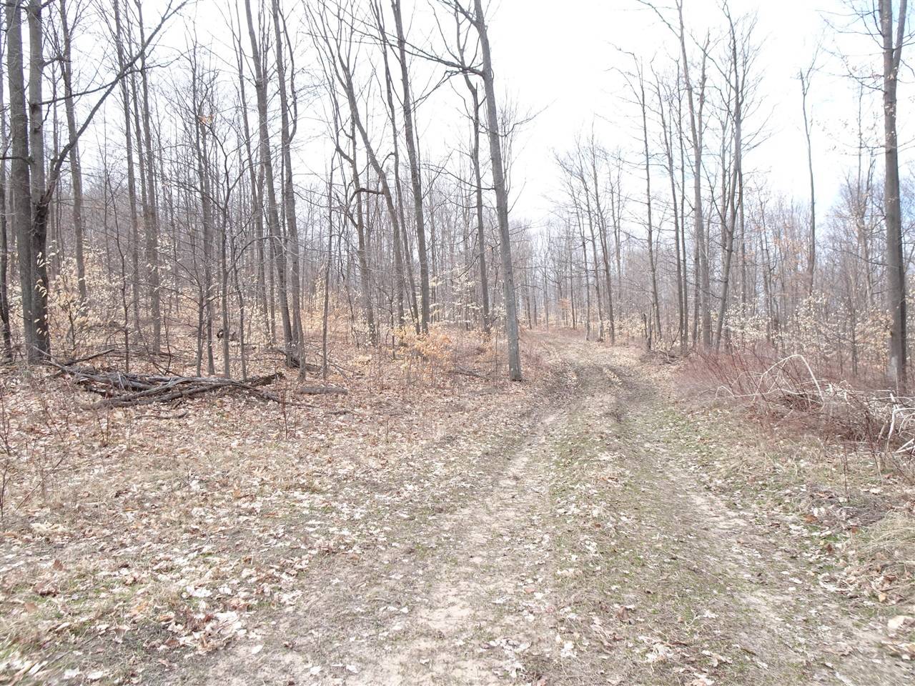 Chief ''D'' Road, Bear Lake, MI 49614-9378