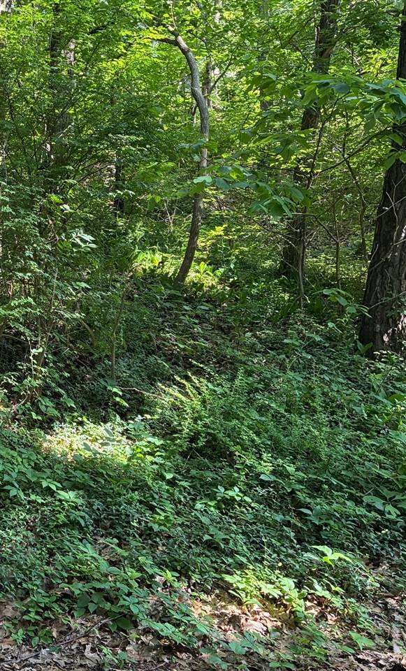 6 Lilac Lane, Update, MI 49117