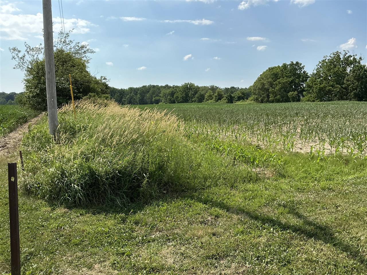 10395 E Paris Avenue, Caledonia, MI 49316-9705