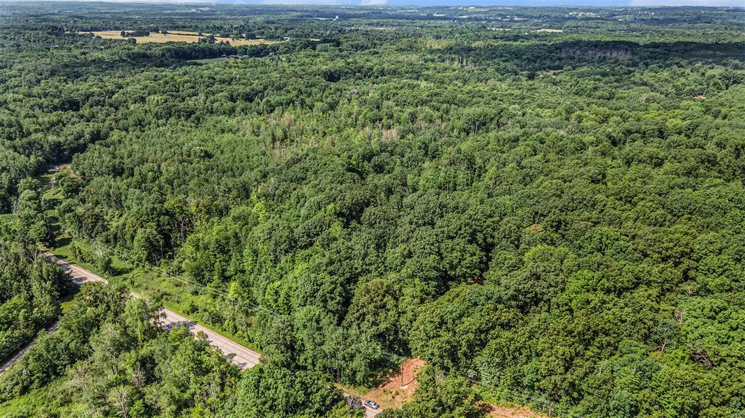 0 Wisner Avenue, White Cloud, MI 49349