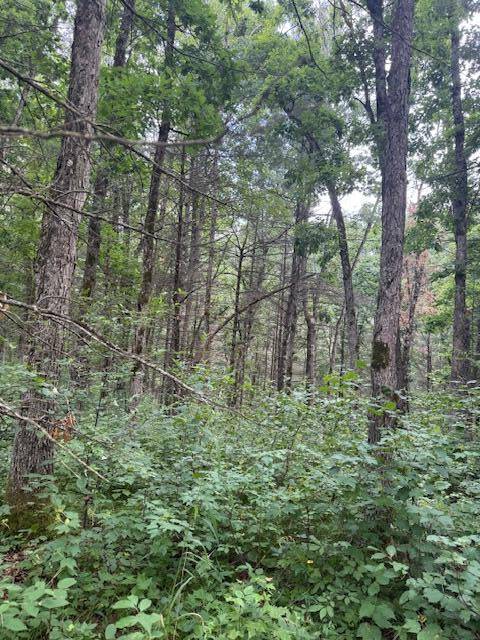 6230 S Evergreen Drive, Newaygo, MI 49337