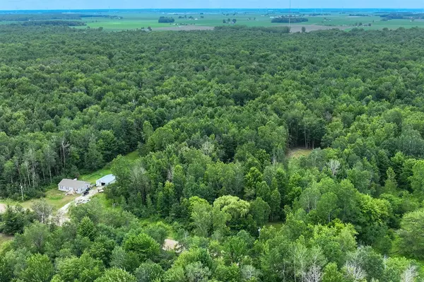 Update, MI 48880-9362,3162 S Alamando Road