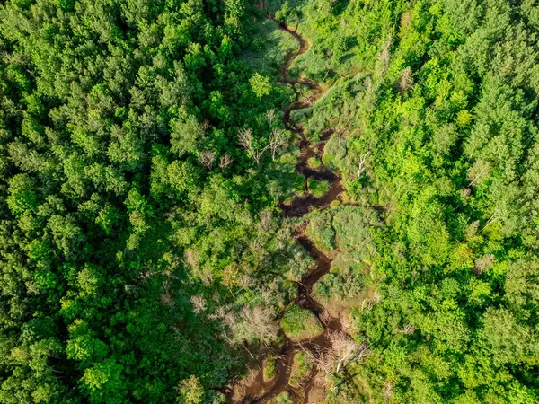 30659 Townline Road, Ontonagon, MI 49953