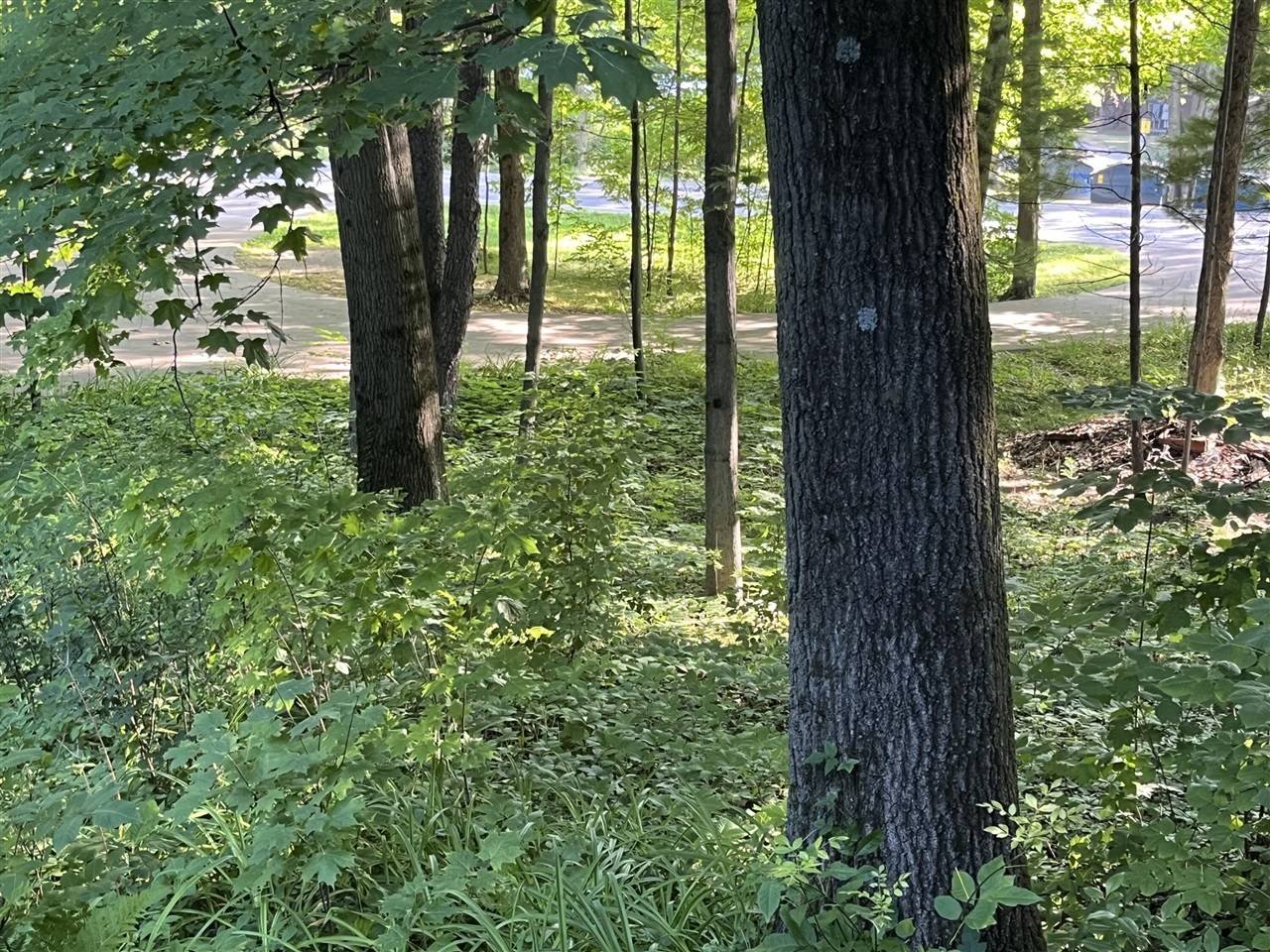 Allegan, MI 49010-9219,3702 Dumont Road