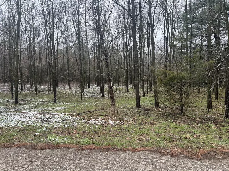 Drew St Street, Paw Paw, MI 49079