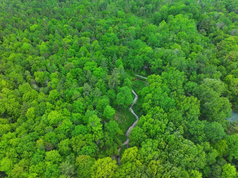 V/L 14A N Woodbridge Avenue, Bitely, MI 49309