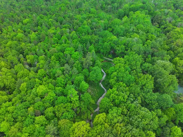 Bitely, MI 49309,V/L 14A N Woodbridge Avenue