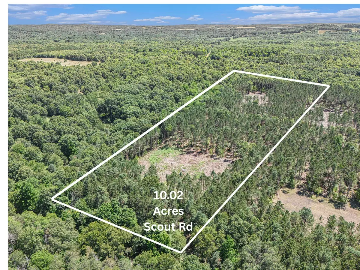 Mears, MI 49436-49436,10.02 W Scout Road