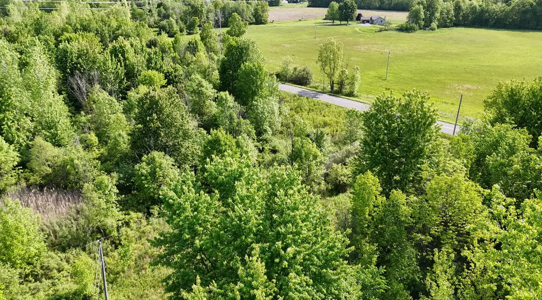 13027 Shaner Avenue, Cedar Springs, MI 49319