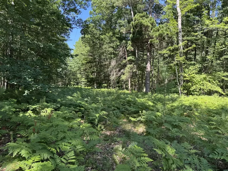 Arquilla Creek Road, Harrietta, MI 49638