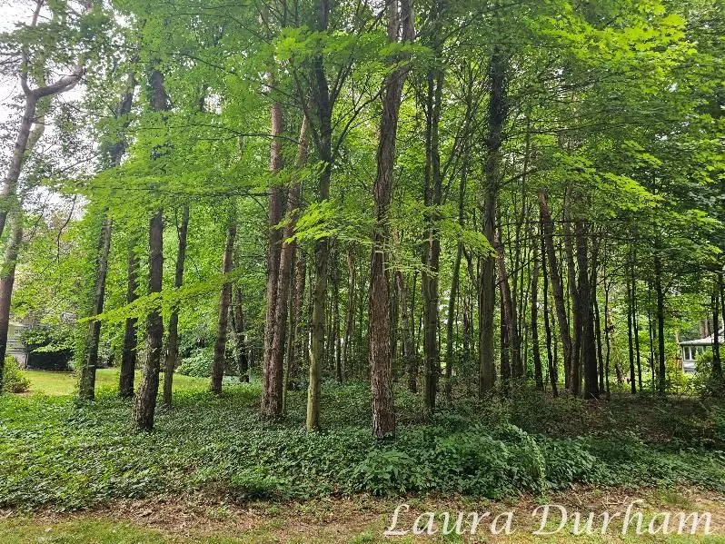 N of 3365 Clearview Lane, Saugatuck, MI 49453