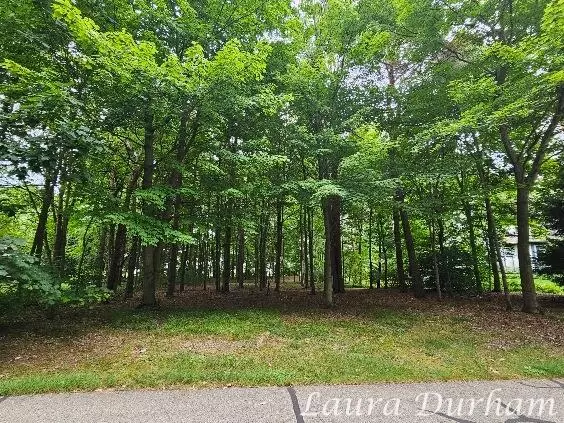 Saugatuck, MI 49453,N of 3365 Clearview Lane