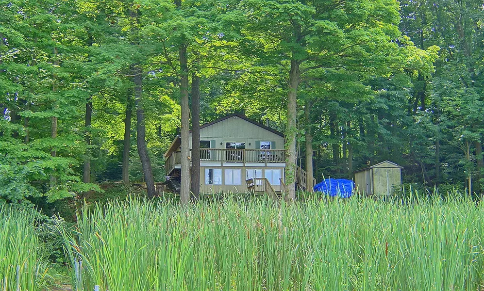 10749 Kings Lane, Berrien Springs, MI 49103-9655