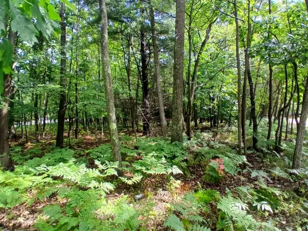 Mears, MI 49436-9310,4756 N Ridge Road