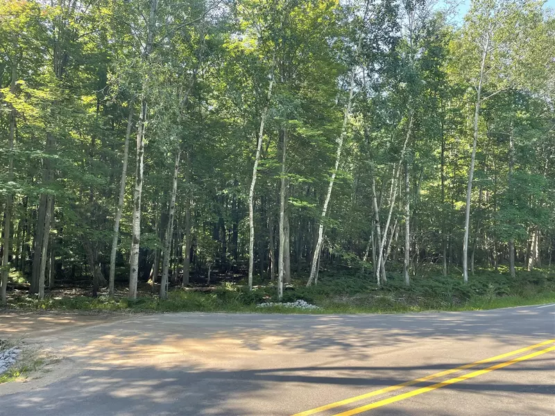 4756 N Ridge Road, Mears, MI 49436-9310