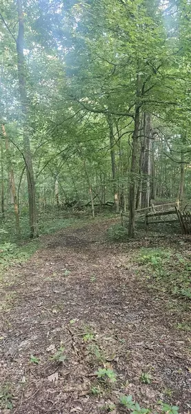 11720 Wamplers Lake Road, Brooklyn, MI 49230-9334