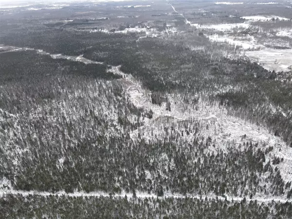 0VL County Line Rd, Farwell, MI 48622