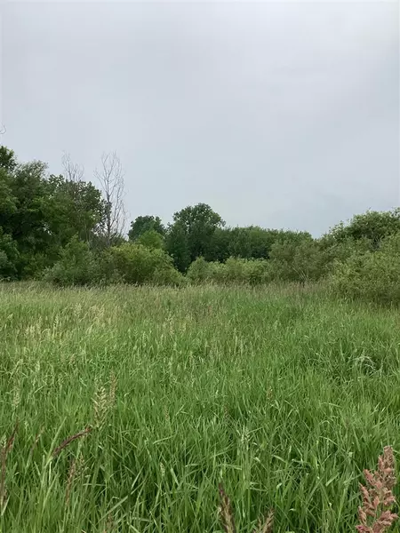 16400 Zuehlke Road, Albion, MI 49224-9137