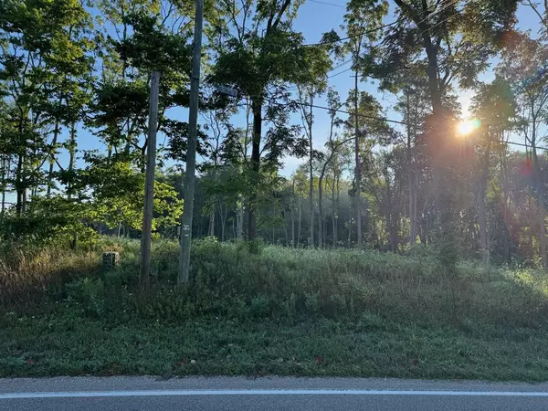 Edwardsburg, MI 49112,Tract 4 Dailey Rd