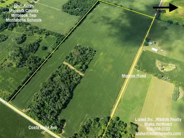 80Acres Monroe Road,  Blanchard,  MI 49310