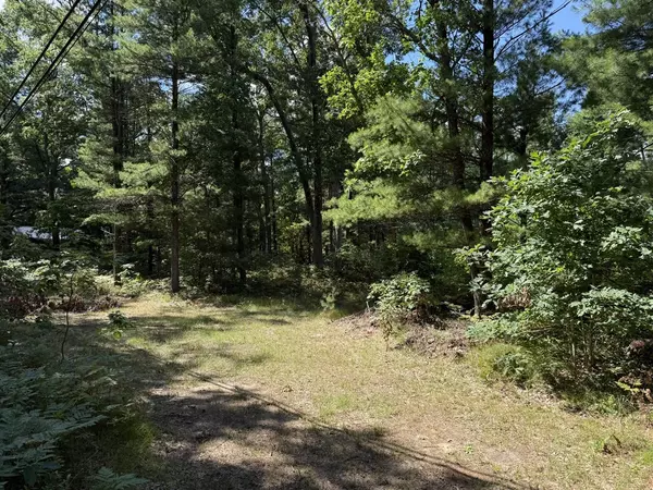 Whitehall, MI 49461,0 Whitehall Road