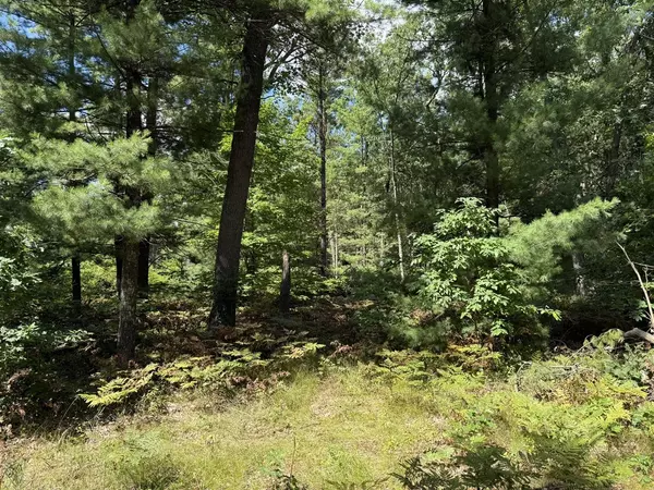 Whitehall, MI 49461,0 Whitehall Road