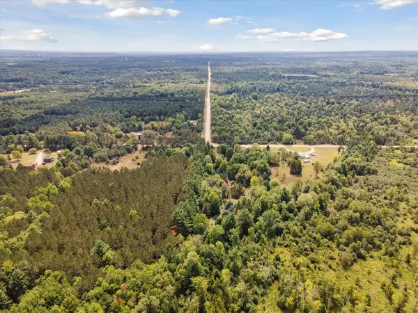 Bear Lake, MI 49614-9329,VL Potter Road