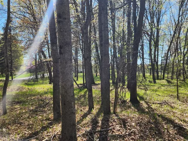 Canadian Lakes, MI 49346-8994,6923 Abbey Lane