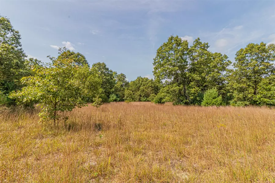 VL 28th Street, White Cloud, MI 49349