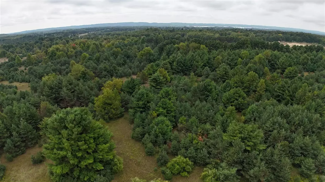 Lumley Road, Bear Lake, MI 49614