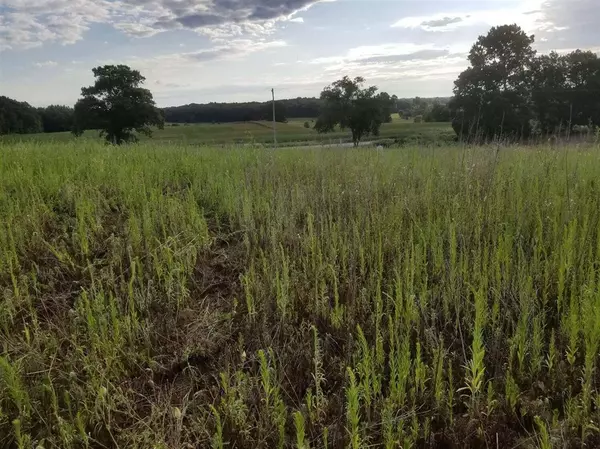 867 Greystone Drive,  Chelsea,  MI 48118