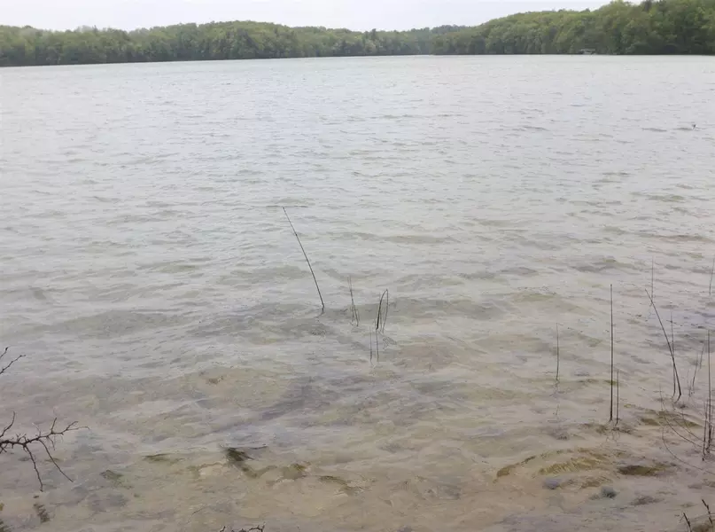 V/L Tranquil Wood Ln, Bellaire, MI 49615