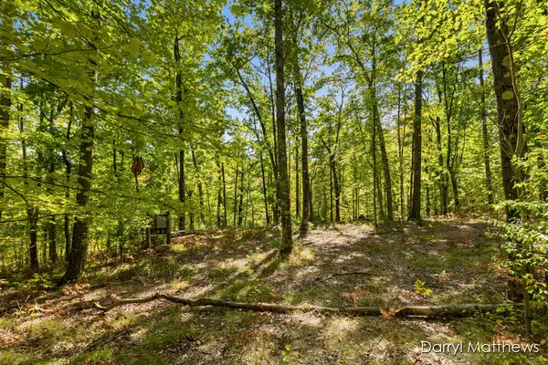 916 E 6 Mile Road, White Cloud, MI 49349-9481