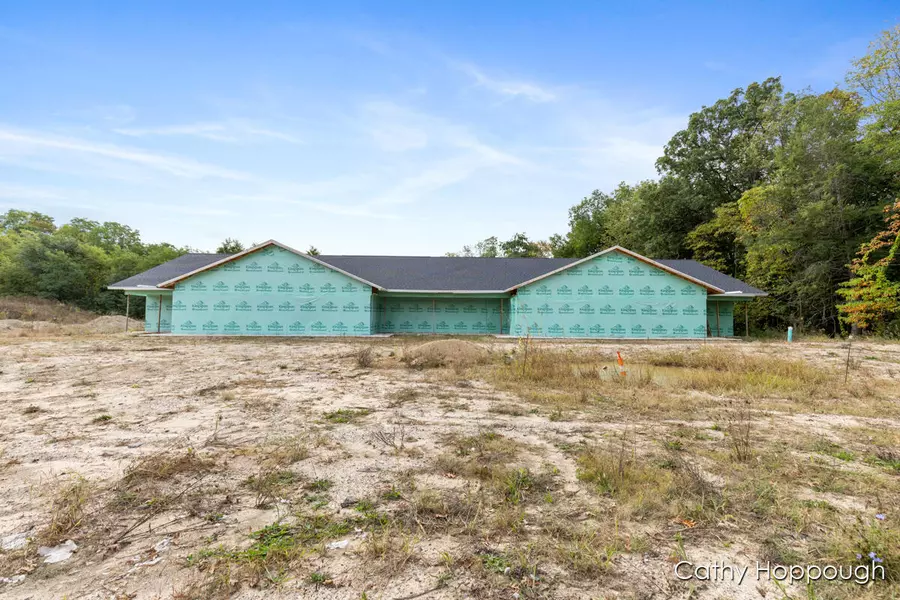 533 E Washington Street, Ionia, MI 48846