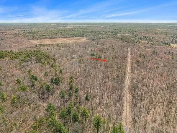 11467 156th Avenue,  West Olive,  MI 49460