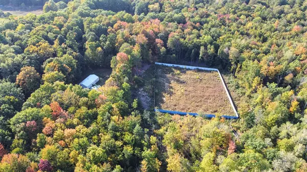 8117 W 12 Mile Road, Bitely, MI 49309