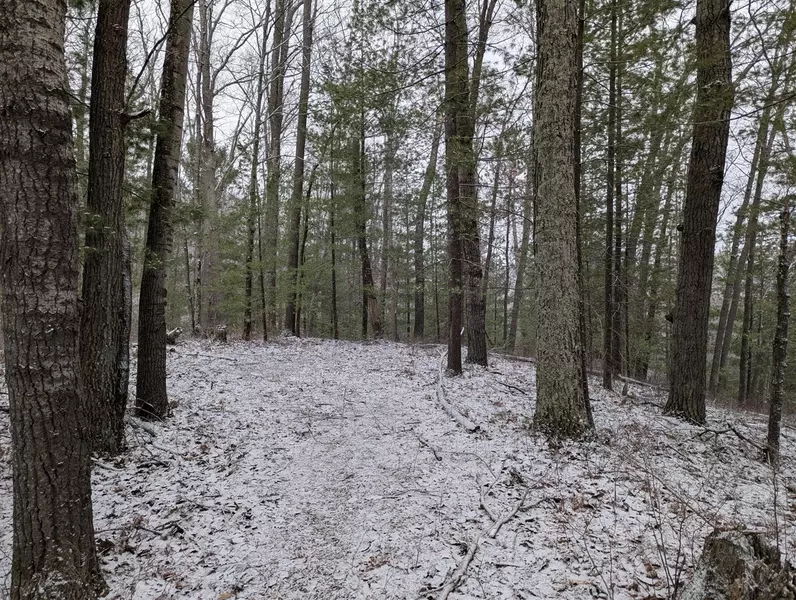 V/L 0000 W CROOKED LAKE RD, Lake City, MI 49651