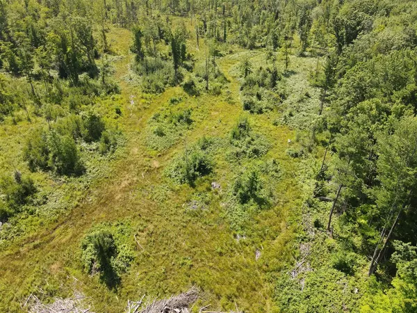 Newaygo, MI 49337,0 36th Street