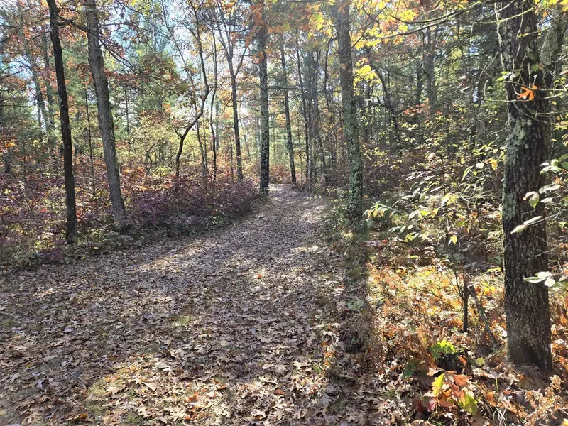 V/L W Coolidge, Bitely, MI 49309