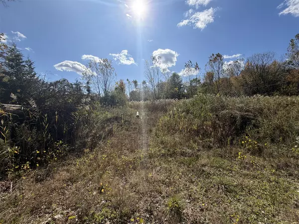 12608 Rawsonville Road, Belleville, MI 48111-9411