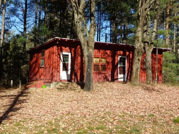 3866 E 14 Mile Road, Bitely, MI 49309-9679