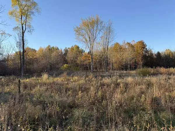 VL 3.87ac. 24th Avenue, Grand Junction, MI 49056