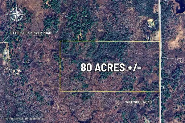 Alger, MI 48610,VL Wildwood Road