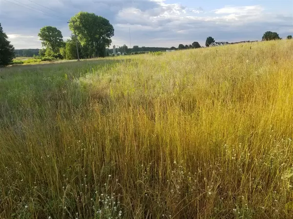 859 Greystone Drive, Chelsea, MI 48118-8201