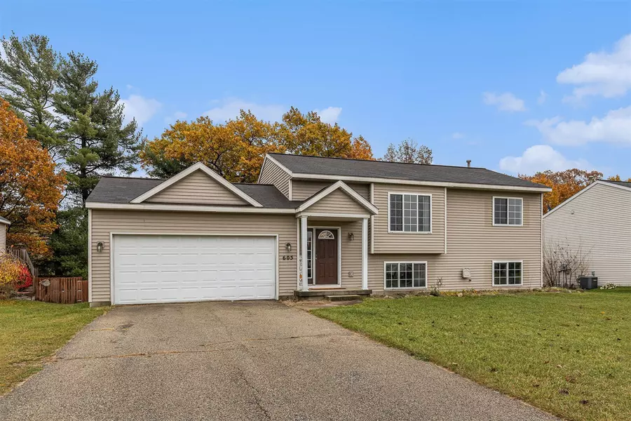 605 Birch Run Street, Howard City, MI 49329