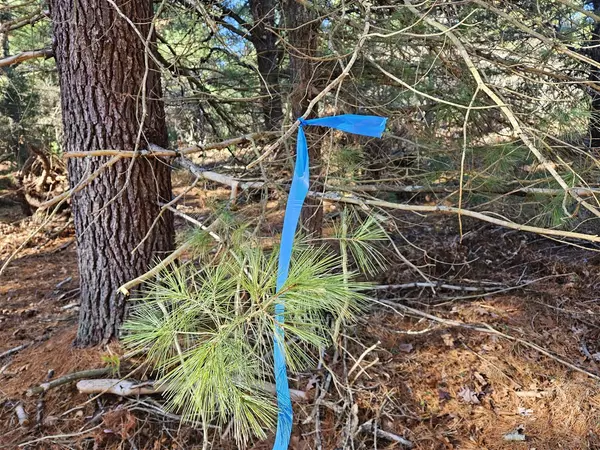 Baldwin, MI 49304,Parcel O Tatanka Trail