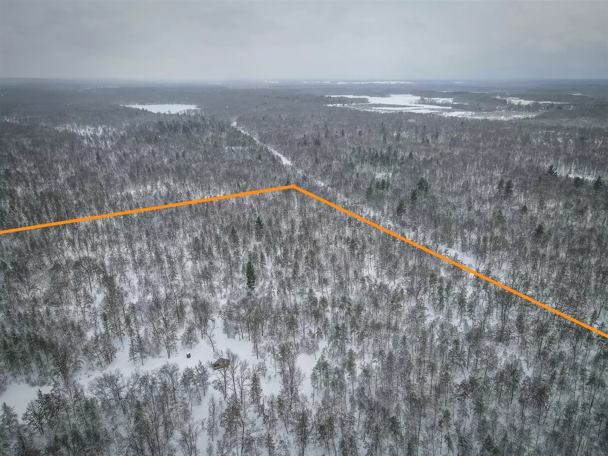 Free Soil, MI 49411,V/L Rybicki Road