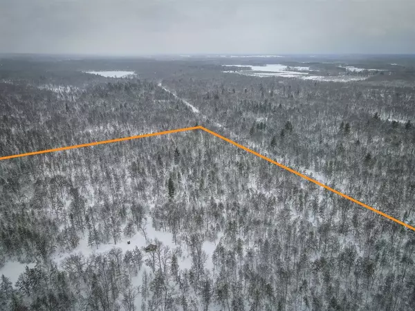 V/L Rybicki Road, Free Soil, MI 49411